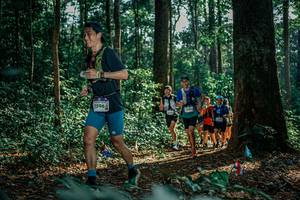 BIB: 
                            <button type="button" onclick="openModal(26133455)" class="btn btn-primary btn-sm float-right btn-popup" data-toggle="modal" data-target=".modal-high-quality">
                        <i class="fas fa-shopping-cart"></i> Add to Cart
                    </button>
                                            <button type="button" onclick="isThisMe(26133455, true)" class="btn btn-success btn-sm float-right btn-popup btn-isme hidden" data-toggle="tooltip" data-placement="bottom" title="นี่คือรูปของคุณใช่ไหม คลิกที่นี่เพื่อเอาเข้าอัลบั้ม">
                        <i class="fas fa-plus"></i> Add to album
                    </button>
                    <button type="button" onclick="isThisMe(26133455, false)" class="btn btn-warning btn-sm float-right btn-popup btn-isnotme hidden">
                        <i class="fas fa-ban"></i> Remove from album
                    </button>